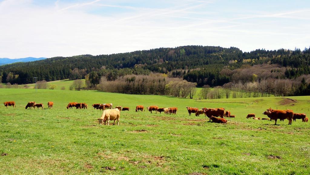 Hotel Lugerhof Weiding  Eksteriør bilde